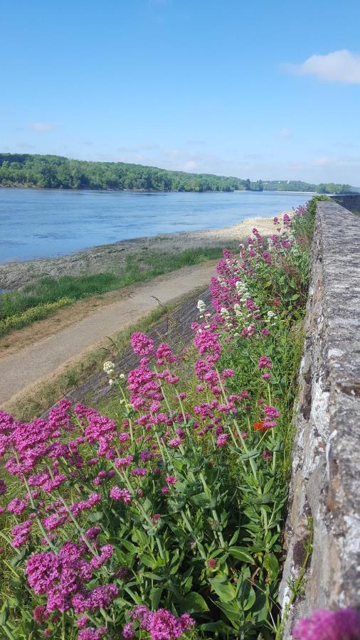 Le Cosy Loire Appart Les Rosiers Exterior foto